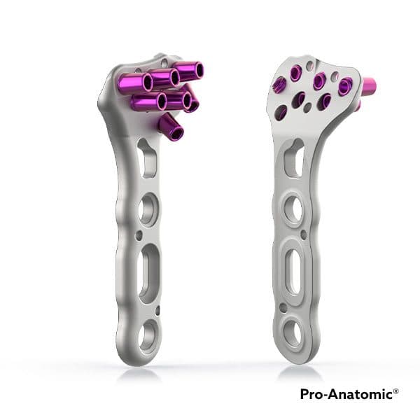 Placa radio distal multiaxial